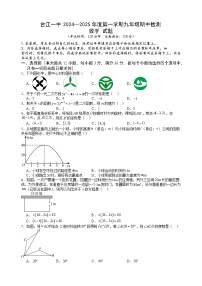 贵州省黔东南苗族侗族自治州台江县第一中学2024-2025学年九年级上学期11月期中数学试题