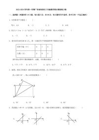 2023-2024学年第一学期广东省深圳市八年级数学期末模拟练习卷（原卷版+解析版）