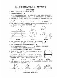 浙江省金华市东阳市2024-2025学年九年级上学期期中调研数学试卷