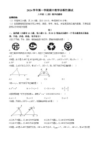 浙江省温州市苍南县2024—2025学年上学期期中考试八年级数学试卷(无答案)