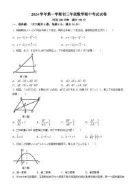 上海市华东政法大学附属中学2024-2025学年九年级上学期数学期中考试试卷(无答案)