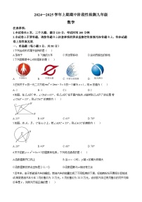 河南省三门峡市2024-2025学年九年级上学期期中阶段性检测数学试卷