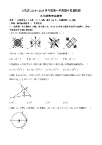 江西省赣州市上犹县2024—2025学年九年级上学期期中考试数学试题