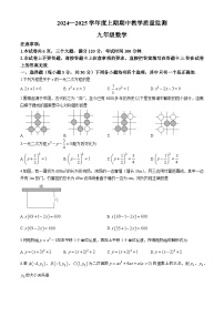 河南省信阳市潢川县2024—2025学年九年级上学期期中教学质量监测数学试题