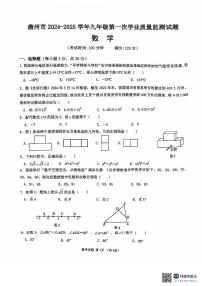 海南省儋州市2024-2025学年九年级上学期11月期中考试数学试题