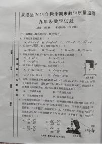 福建泉州泉港区2023-2024学年九年级上学期期末数学试题（含答案）