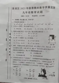 福建泉州泉港区2023-2024学年九年级上学期期末数学试题（含答案）