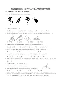 湖北省武汉市2023-2024学年八年级上学期期末数学模拟卷（含答案）