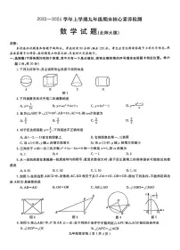 河南周口市项城市2023-2024学年九年级上学期期末测试数学试题（含答案）