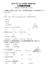 海南省海口市美兰区2023-2024学年八年级上学期期中数学试题
