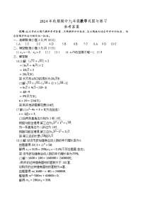河南省南阳市内乡县2024-2025学年九年级上学期11月期中数学试题