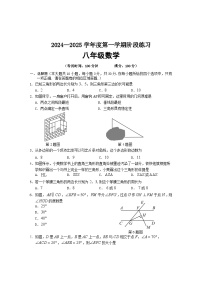 安徽省黄山市歙县2024-2025学年八年级上学期期中考试数学试题