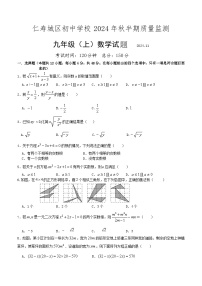 四川省眉山市仁寿县2024-2025学年上学期九年级数学期中试题