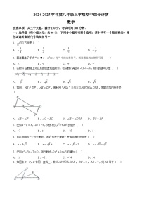 河南省周口市商水县2024-2025学年八年级上学期11月期中考试数学试题