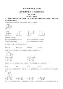 辽宁省沈阳市和平区2024～2025学年九年级(上)期中数学试卷(含答案)