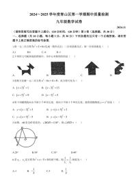 湖北省武汉市青山区2024～2025学年九年级(上)期中数学试卷(含答案)
