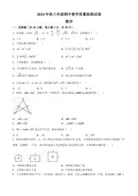 河南省驻马店市上蔡县2024～2025学年八年级(上)期中素质测试数学试卷(含答案)