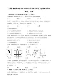 江西省景德镇市乐平市2024～2025学年九年级(上)期中数学试卷(含答案)