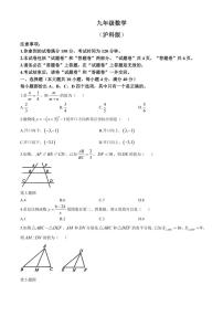 安徽省合肥市肥西县部分学校2024～2025学年九年级(上)期中数学试卷(沪科版)(含答案)