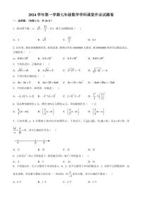 浙江省绍兴市柯桥区柯桥区联盟学校2024～2025学年七年级(上)期中数学试卷(含答案)