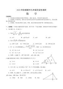 河南省南阳市方城县2024～2025学年九年级(上)期中阶段性调研数学试卷(含答案)