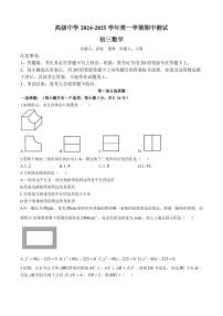 广东省深圳市高级中学2024-2025学年九年级上学期期中考试数学试题