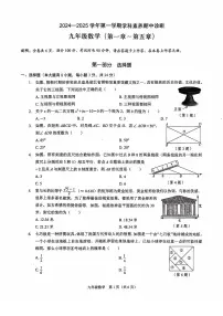 广东省深圳市龙岗区2024-2025学年九年级上学期期中考试数学试题