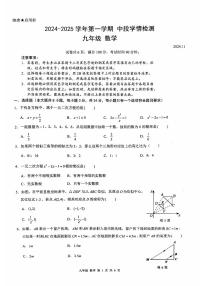 广东省深圳市龙华区2024-2025学年九年级上学期期中数学试题