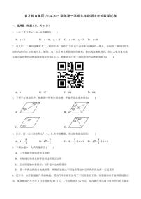 广东省深圳市南山区育才教育集团2024-2025学年上学期九年级期中考试数学试题