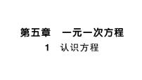 初中数学北师大版（2024）七年级上册（2024）1 认识方程作业ppt课件