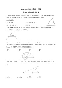 山东省聊城市莘县四校联考2024-2025学年九年级上学期11月期中数学试题