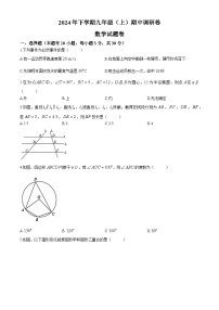 浙江省金华市东阳市2024-2025学年九年级上学期期中调研数学试卷