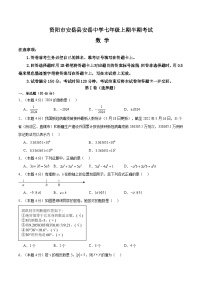 四川省资阳市安岳县四川省安岳中学2024-2025学年七年级上学期11月期中数学试题