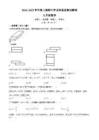 四川省成都市武侯区西川实验学校2024-2025学年九年级上学期11月期中考试数学试题(无答案)