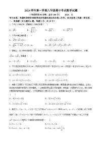 上海市嘉定区民办远东学校2024-2025学年八年级上学期期中数学试卷(无答案)