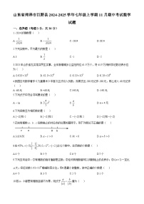 山东省菏泽市巨野县2024-2025学年七年级上学期11月期中考试数学试题