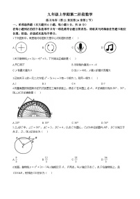 山东省德州市宁津县第六实验中学等校期中联考2024-2025学年九年级上学期11月期中数学试题