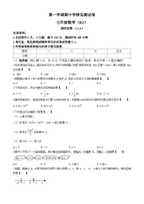 河南省驻马店市汝南县县一中，县二中，县三中联考2024-2025学年七年级上学期11月期中数学试题