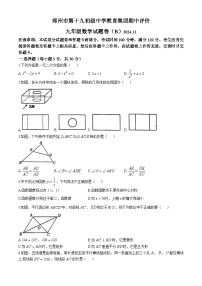 河南省郑州市第十九初级中学2024—2025学年上学期九年级数学期中考试卷(无答案)