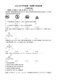 河北省保定市定州市2024-2025学年八年级上学期期中数学试卷