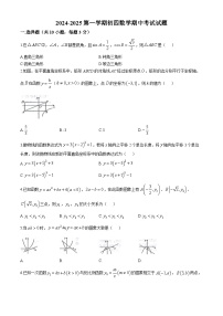 山东省威海市威海经济技术开发区2024-2025学年九年级上学期11月期中数学试题(无答案)