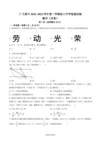 广东省广州市广州大学附属中学2022~2023学年九年级数学上学期开学测试卷