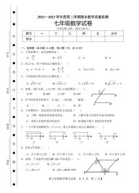 广东省湛江市麻章区2022-2023学年七年级下学期期末考试数学试题