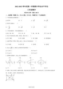 广东省深圳市罗湖区深圳市罗湖区翠园东晓中学2022-2023学年八年级上学期期中数学试题