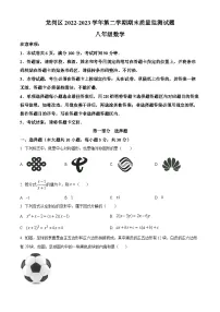 广东省深圳市龙岗区2022-2023学年八年级下学期7月期末数学试题