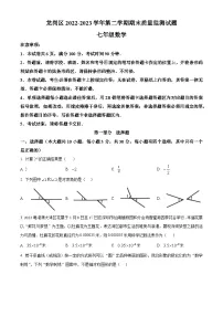 广东省深圳市龙岗区2022-2023学年七年级下学期7月期末数学试题