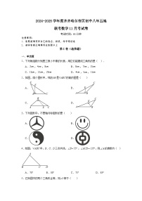 黑龙江省齐齐哈尔市2024-2025学年八年级上学期市区五地11月联考数学试题