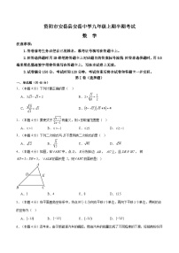 四川省资阳市安岳县四川省安岳中学2024-2025学年九年级上学期11月期中数学试题