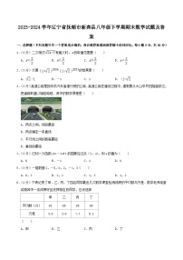 2023-2024学年辽宁省抚顺市新宾县八年级下学期期末数学试题及答案
