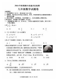南阳市2024-2025学年九年级上学期期中数学试题及参考答案